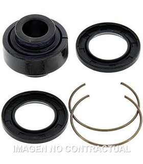 Kit de revisión amortiguador trasero All Balls 29-5029