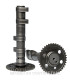 Arbol de levas doble Malossi Yamaha T-Max 560