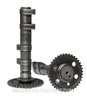 Arbol de levas doble Malossi Yamaha T-Max 560