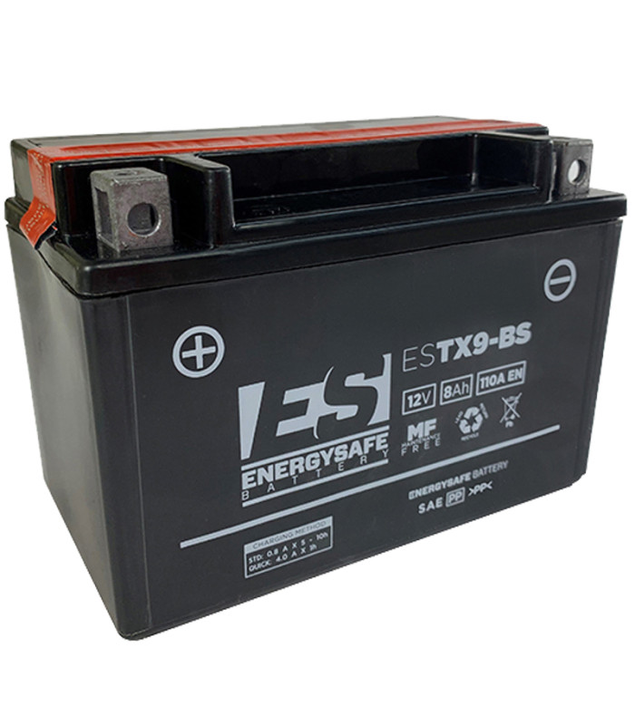 Batería Energysafe ESTX9-BS Sin Mantenimiento