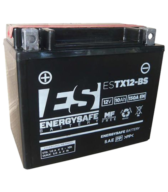 Batería Energysafe ESTX12-BS Sin Mantenimiento