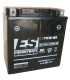 Batería Energysafe ESTX16-BS Sin Mantenimiento