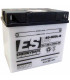 Batería Energysafe ES53030 Convencional