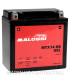 BATERIA MALOSSI MTX14-BS GEL