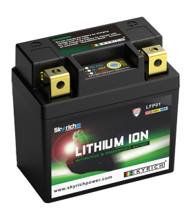 Batería litio Skyrich LFP01