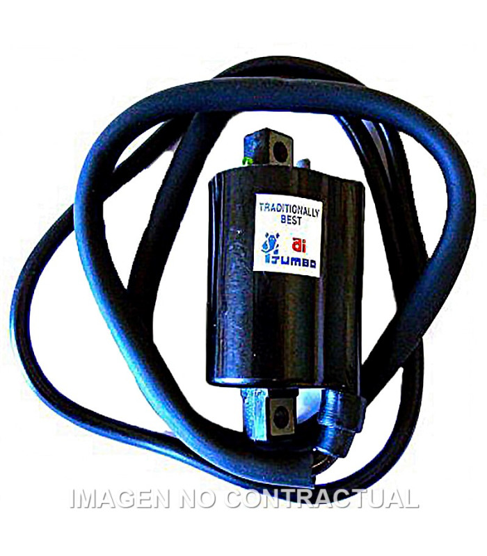 Bobina 12V - CC - 2,5 OHM - 2 Fastons - con cable 110 cm