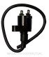 Bobina 12V 0,30 OHM - 2 Fastons