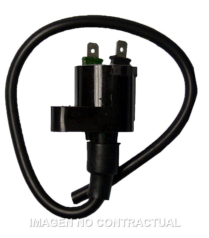 Bobina 12V 0,30 OHM - 2 Fastons