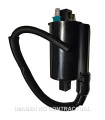 Bobina Kymco People One 12V-CC-2,7 OHM-2 FASTONS-CON CABLE