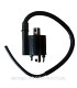 Bobina 12V 3 OHM - 2 Fastons con cable 40 cm.