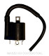 Bobina Yamaha Xmax 125/250/400 12V - 3 OHM - 2 FASTONS - CON CABLE 20CM