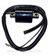 Bobina 12V 0,4 OHM 1 Faston