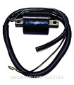 Bobina 12V 0,4 OHM 1 Faston