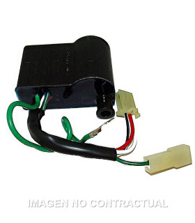 Centralita Electrónica