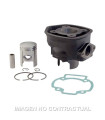 CILINDRO HERT PIAGGIO NRG 50