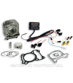 Cilindro Completo Malossi I-Tech Piaggio Liberty IGet 125