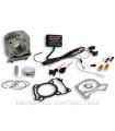 Cilindro Completo Malossi I-Tech Piaggio Liberty IGet 125