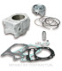 CILINDRO MALOSSI I-TECH PIAGGIO BEVERLY HPE 300 E5