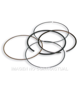 Segmentos D. 75,5 mm