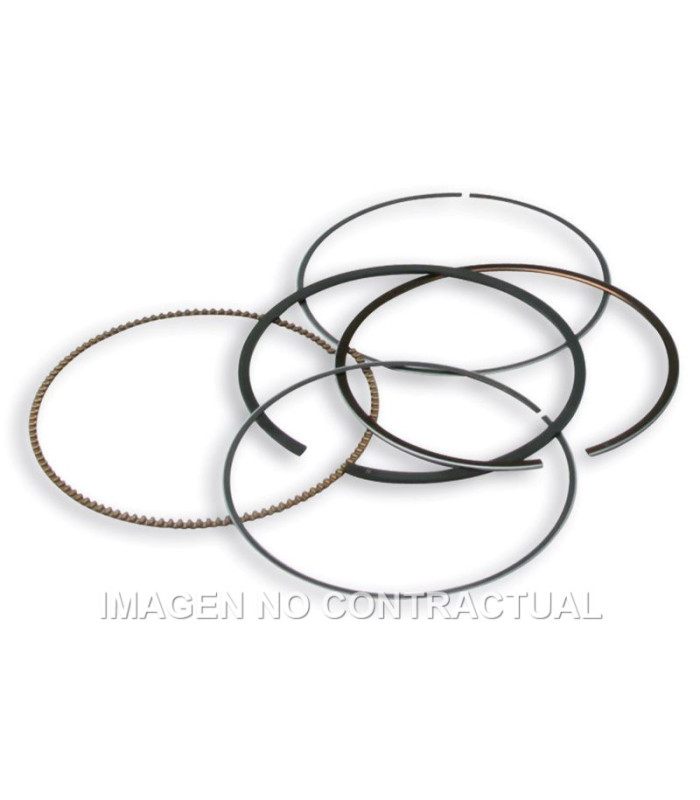 Segmentos D. 75,5 mm
