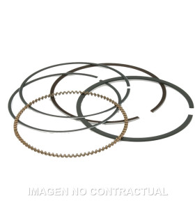 Segmentos D. 74X1 mm Majesty 250, Leonardo 250