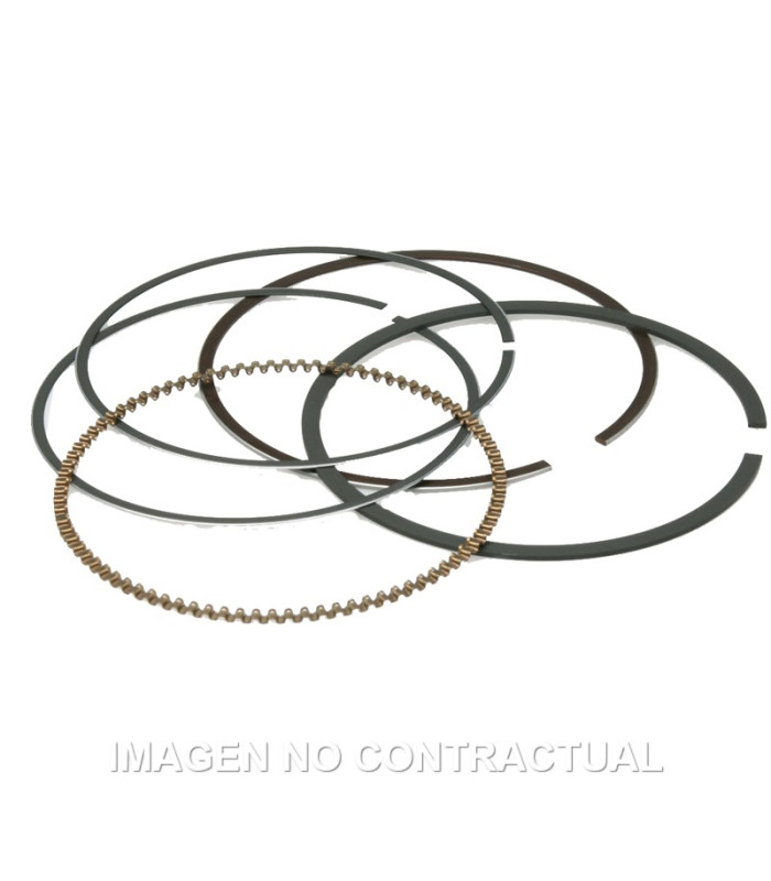 Segmentos D. 74X1 mm Majesty 250, Leonardo 250