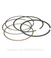 Segmentos D. 74X1 mm Majesty 250, Leonardo 250