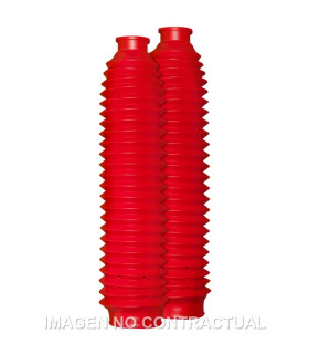 Fuelle Circuit 24 Dientes Rojo