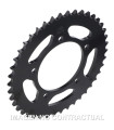 CORONA AFAM ACERO 525X42 - APRILIA