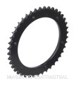 CORONA AFAM ACERO 530X42 - TRIUMPH