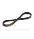 Correa Dentada Honda SH 50 Scoopy