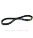 Correa Kevlar Malossi Liberty 50, DNA 50