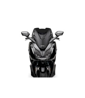 CUPULA MALOSSI SPORT SCREEN HONDA FORZA 125 E5