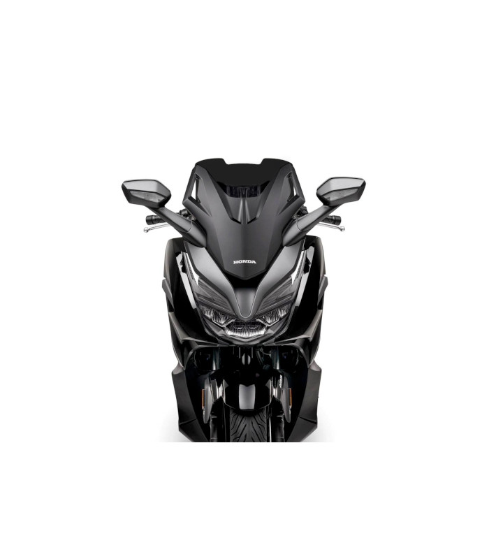 CUPULA MALOSSI SPORT SCREEN HONDA FORZA 125 E5