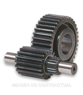 Desarrollo Secundario 14/43 Majesty 125