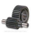 Desarrollo Secundario 14/43 Majesty 125