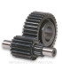 Desarrollo secundario HTQ 15/47 Dientes