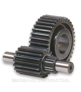 Desarrollo secundario HTQ 15/47 Dientes