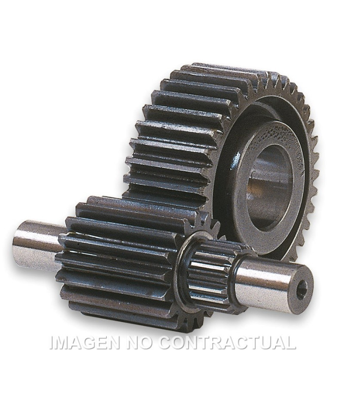 Desarrollo secundario HTQ 15/47 Dientes