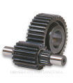 Desarrollo secundario HTQ 15/47 Dientes