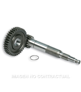 Desarrollo Primario Largo Zip Sp 2000