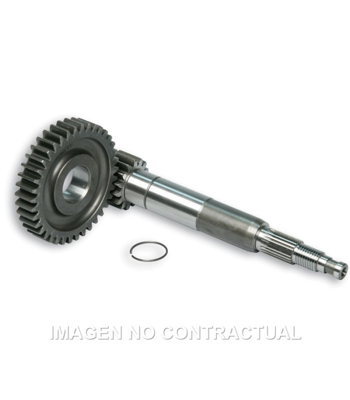 Desarrollo Primario Largo Zip Sp 2000