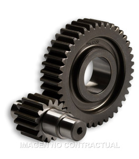Desarrollo Secundario HTQ 15/41 Motor Leader