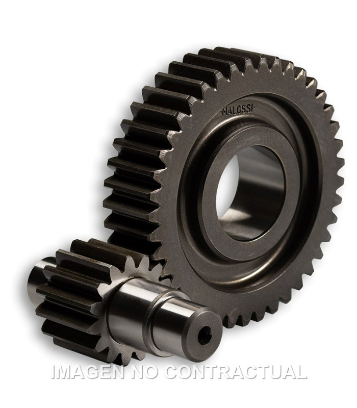 Desarrollo Secundario HTQ 15/41 Motor Leader