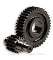 Desarrollo Secundario HTQ 15/41 Motor Leader