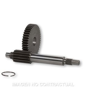 Desarrollo Primario HTQ 15/38 Piaggio NRG MC-3