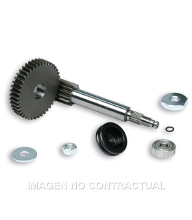 DESARROLLO PRIMARIO MALOSSI 14/42 YAMAHA AEROX 50