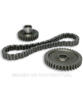 Kit Malossi Power Transmission Yamaha T-Max 500