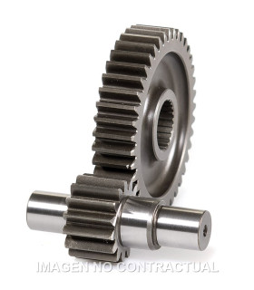 Desarrollo Secundario Largo Hexagon, Typhoon 125