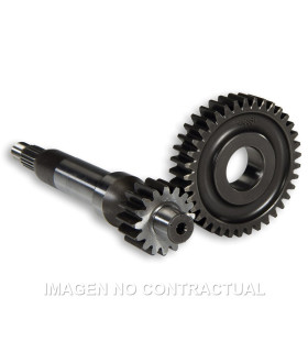 Desarrollo Largo Piaggio Zip SP Zip Fast Rider 95